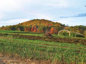 Sidehill Farm in Ashfield, Mass.